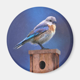 Bluebird (Female) Painting - Original Bird Art Magnet