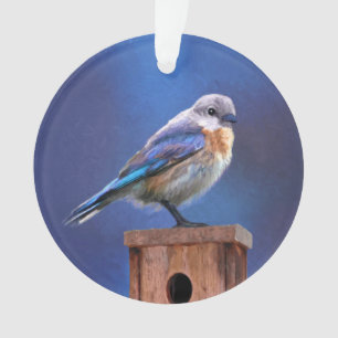 Bluebird (Female) Painting - Original Bird Art Ornament