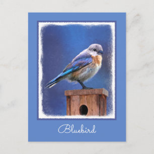 Bluebird (Female) Painting - Original Bird Art Postcard