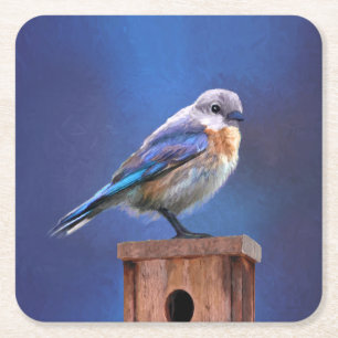 Bluebird (Female) Painting - Original Bird Art Square Paper Coaster