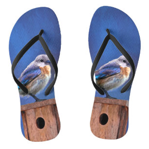 Bluebird (Female) Painting - Original Bird Art Thongs