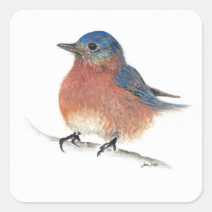 Bluebird Fine Art Square Sticker