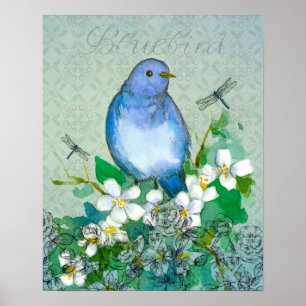 Bluebird Flower Collage Dragonflies Syringa Poster