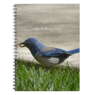 Bluebird Grass (my photography) Notebook