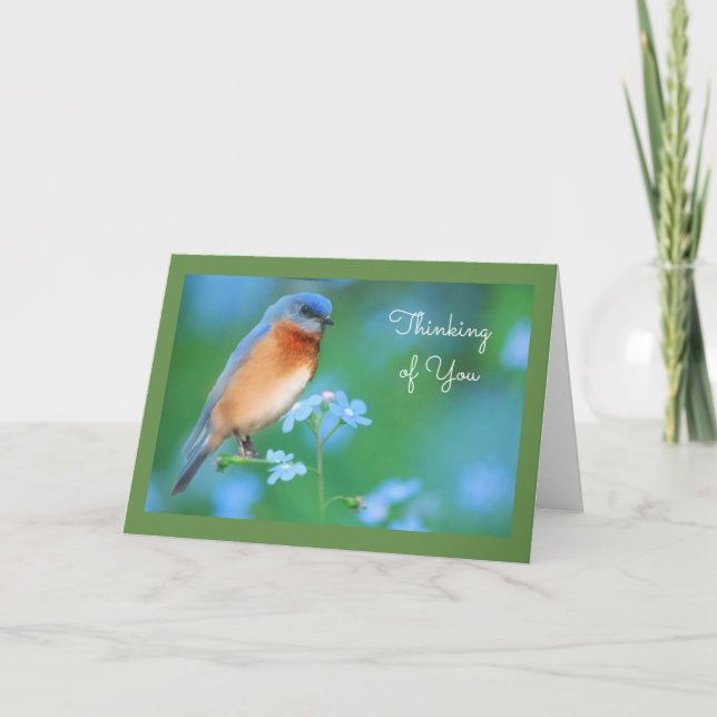 Bluebird Greeting Card (Front)