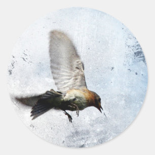 Bluebird Grunge Classic Round Sticker