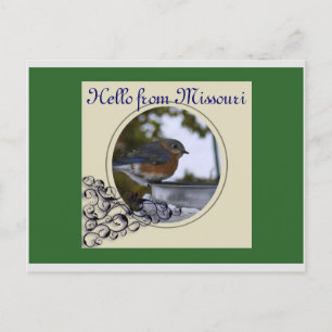 Bluebird, Hello from Missouri Postcard