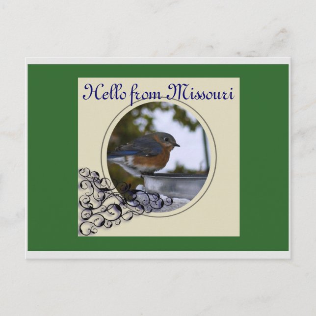 Bluebird, Hello from Missouri Postcard (Front)