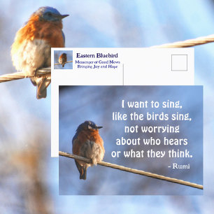 Bluebird I want to Sing Rumi Quote Photographic Postcard