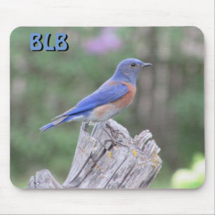 Bluebird in Spring your Initials Mouse Pad