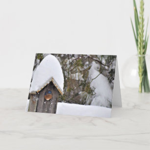 Bluebird in the Snow Card