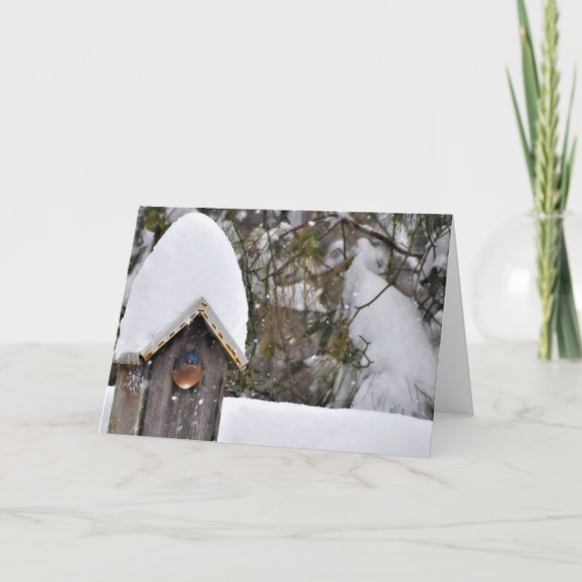 Bluebird in the Snow Card (Front)