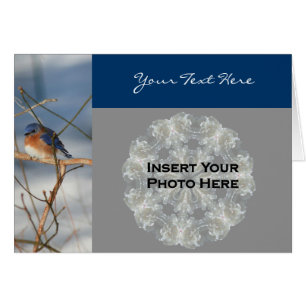 Bluebird In Winter Nature Photo Card