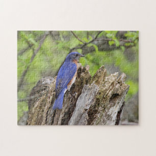 Bluebird Jigsaw Puzzle