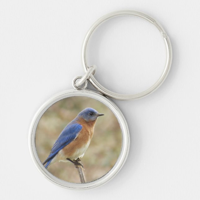 Bluebird Key Chain (Front)