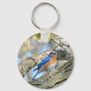 Bluebird Key Ring