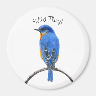 Bluebird Magnet