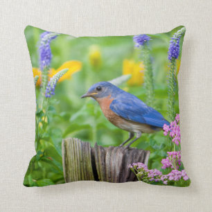 Bluebird male on fence post in flower garden cushion