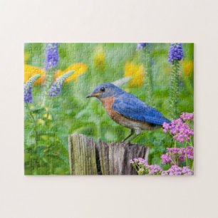 Bluebird male on fence post in flower garden jigsaw puzzle