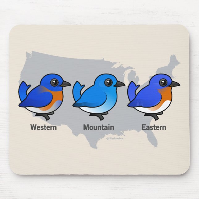 Bluebird Map Mouse Pad (Front)