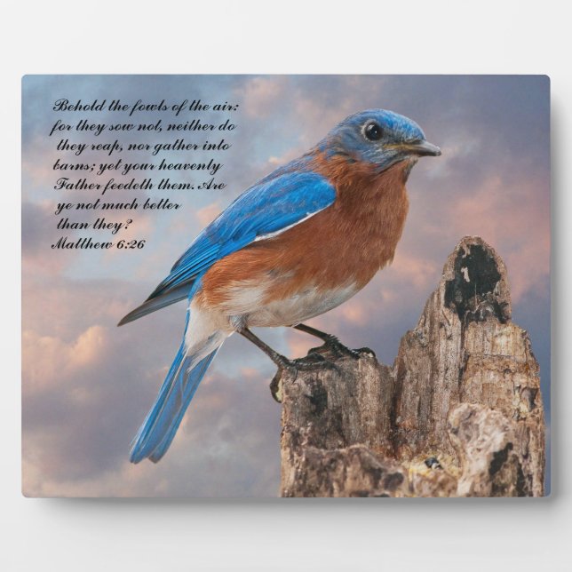BLUEBIRD- Matthew 6:26 Plaque (Front)