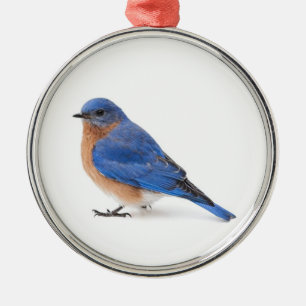 Bluebird Metal Ornament