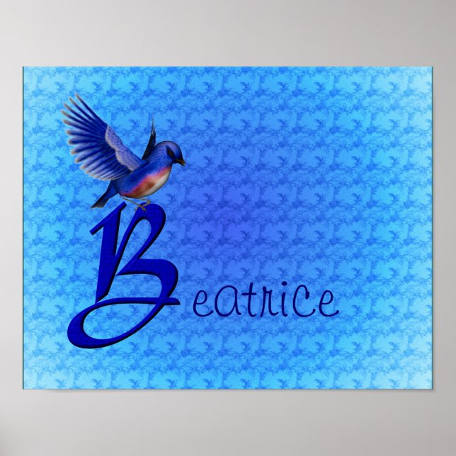 Bluebird Monogram Your Name Initial B Poster (Front)