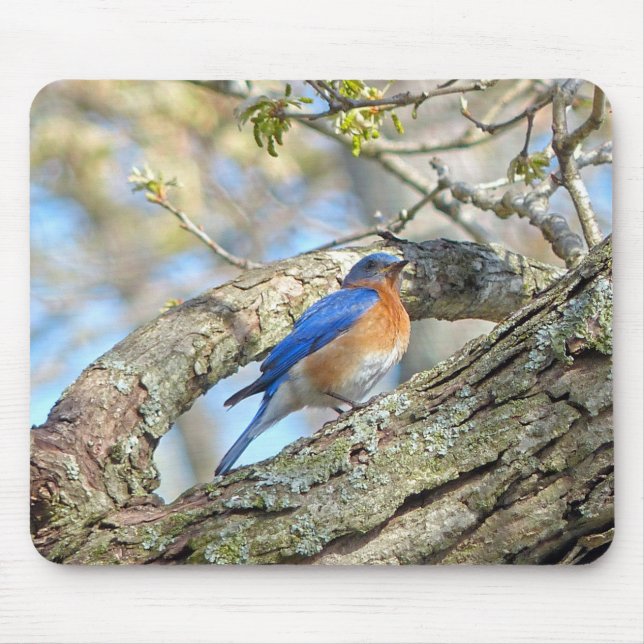Bluebird Mouse Pad (Front)