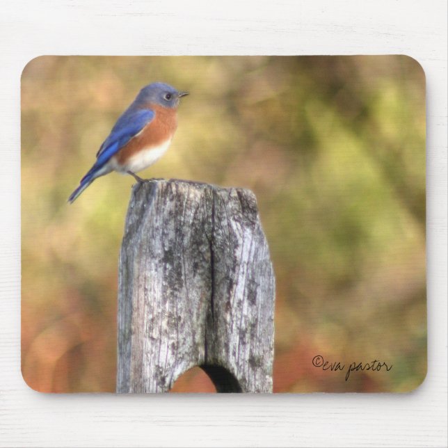 Bluebird Mousepad (Front)