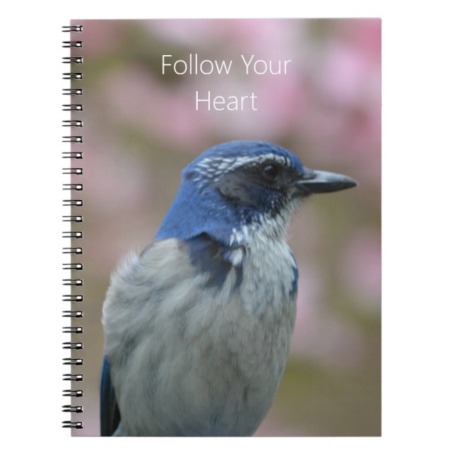 Bluebird (my photography) notebook (Front)
