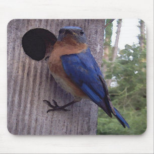 Bluebird Nest Box Mousepad