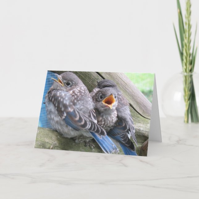 Bluebird Note Card (Front)