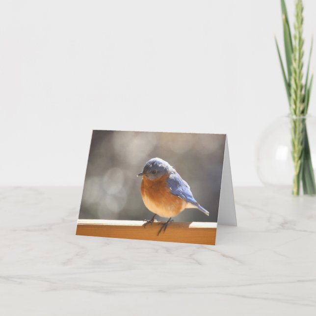 Bluebird Notecard - Blank Inside (Front)