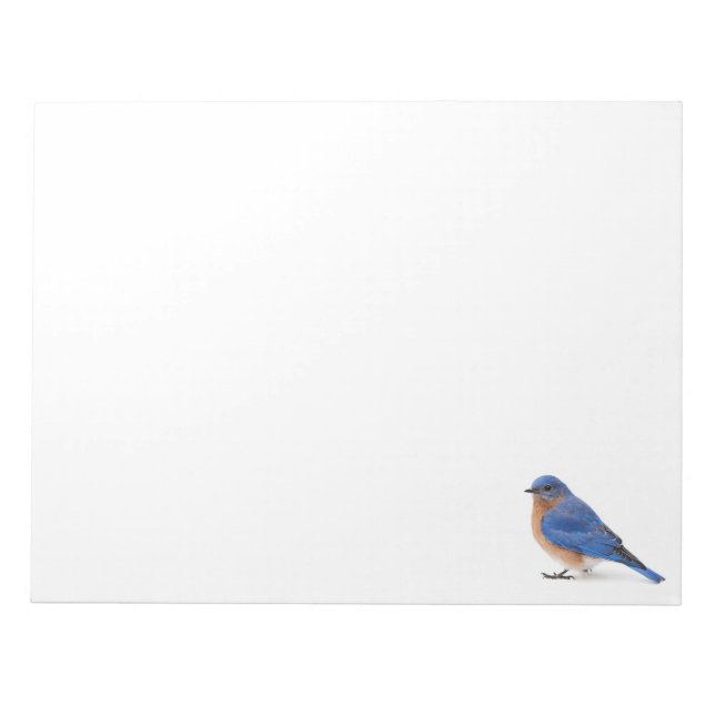 Bluebird Notepad (Front)
