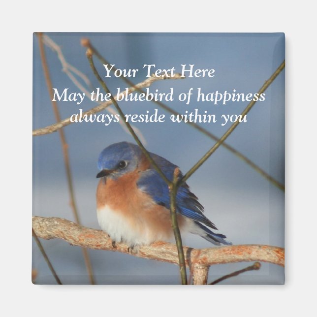 Bluebird Of Happiness Inspirational Magnet (Front)