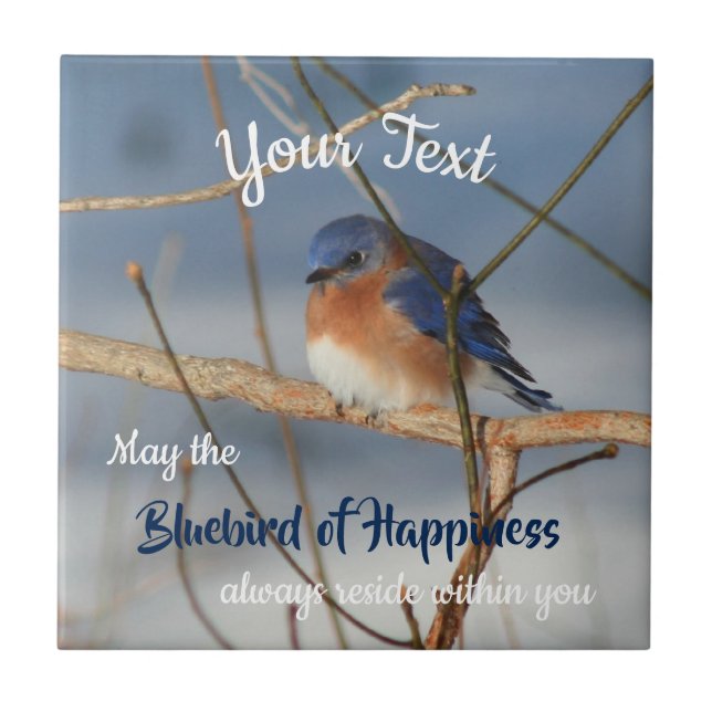 Bluebird Of Happiness Inspirational Personalised Ceramic Tile (Front)
