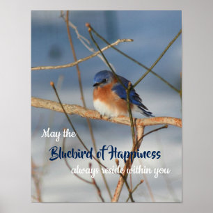 Bluebird Of Happiness Inspirational Poster