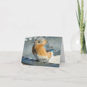 Bluebird of Happiness Thank You Card