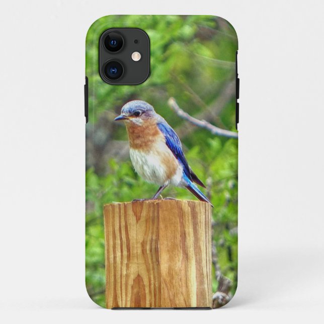Bluebird on a Fence Post Case-Mate iPhone Case (Back)