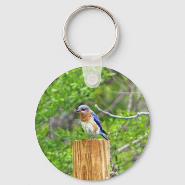 Bluebird on a Fence Post Key Ring (Front)