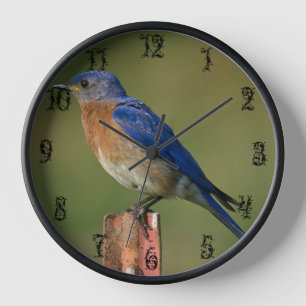 BLUEBIRD ON A STAKE C CLOCK