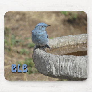 Bluebird on Bird Bath your Initials Mouse Pad
