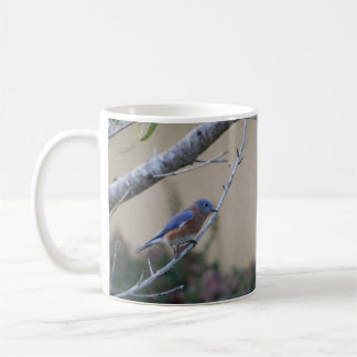 Bluebird on Branch Eastern Bluebird Lovers Coffee Mug