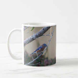 Bluebird on Branch FL Bluebird Lovers Brooksville Coffee Mug