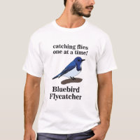 Bluebird On Branch Funny Birding