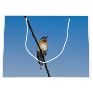 Bluebird on branch large gift bag
