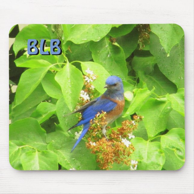 Bluebird on Lilac Hedge your Initials Mouse Pad (Front)