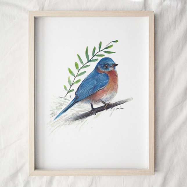 Bluebird Painting Art Print (Creator Uploaded)