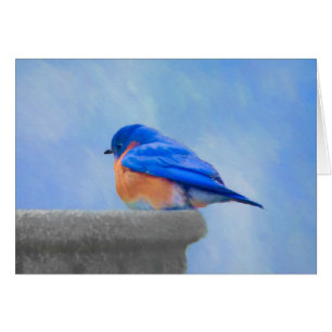 Bluebird Painting - Original Bird Art