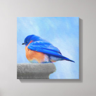 Bluebird Painting - Original Bird Art Canvas Print